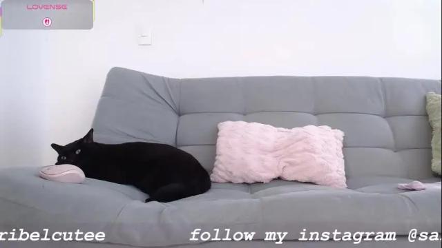 Image 7 of saribelcutee Stream on Chaturbate on 1 month ago
