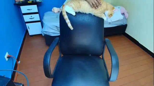 Image 11 of sarisha__ Stream on Chaturbate on 1 month ago