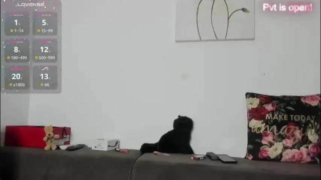 Image 8 of sas4a Stream on Chaturbate on 1 month ago