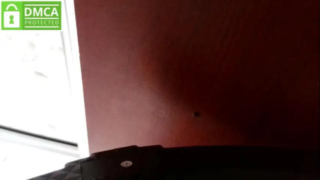 Image 7 of sasha_start Stream on Chaturbate on 1 month ago