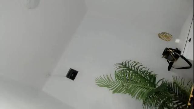 Image 8 of sassy_monie Stream on Chaturbate on 7 days ago