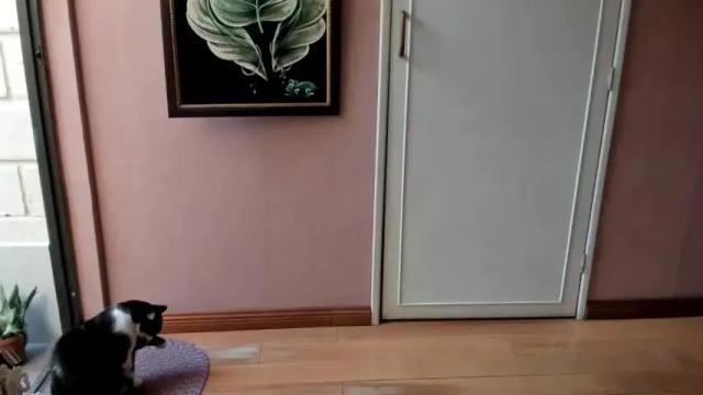 Image 10 of sassy_xyou Stream on Chaturbate on 15 months ago