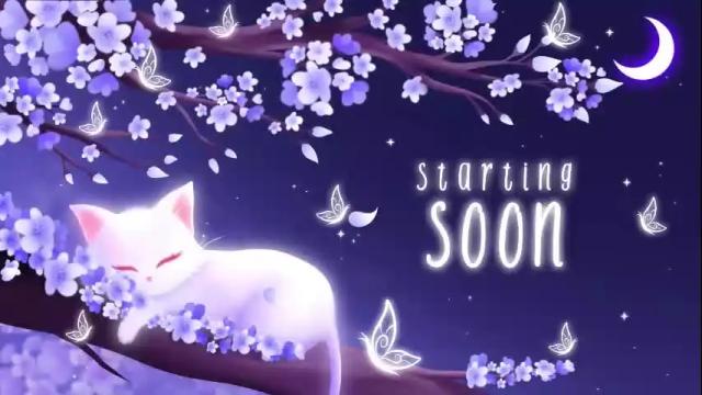 Image 2 of sassykittyn Stream on Chaturbate on 2 months ago