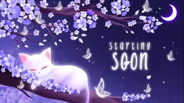 Thumbnail 1, sassykittyn's Stream at Chaturbate, 2 months ago