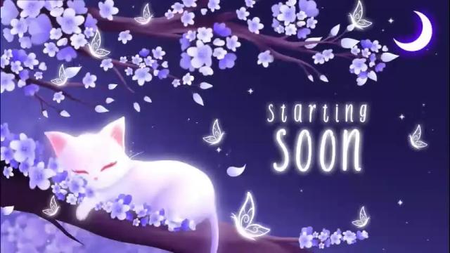 Thumbnail 1, sassykittyn's Stream at Chaturbate, 1 month ago