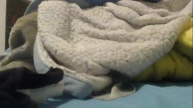 Image 11 of sassypandaxxx Stream on Chaturbate on 17 months ago