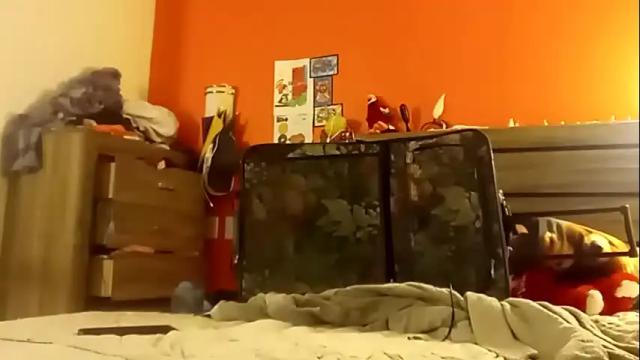 Image 2 of saucybear666 Stream on Chaturbate on 4 months ago