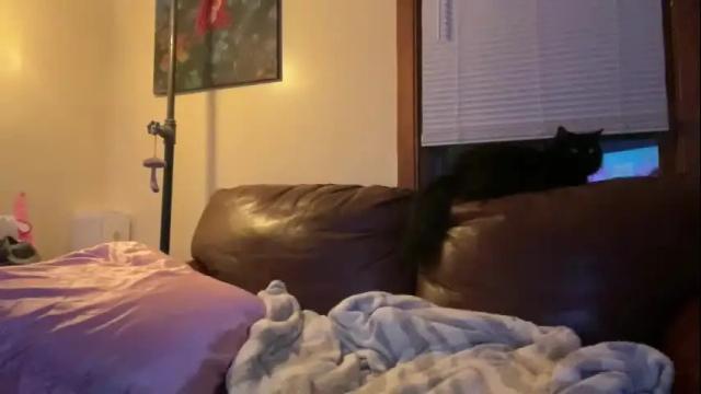 Image 4 of saucystassie555 Stream on Chaturbate on 3 months ago