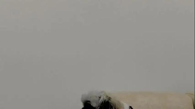 Image 3 of savagesweethearts Stream on Chaturbate on 1 month ago