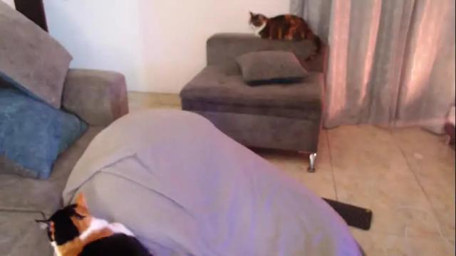 Image 12 of savanna_wallace Stream on Chaturbate on 1 month ago