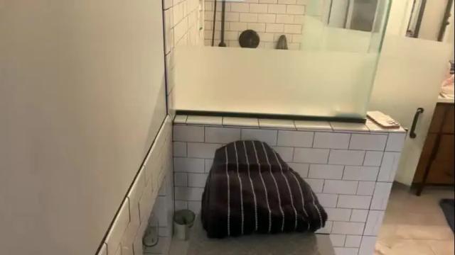 Image 4 of sayplsgdgrl Stream on Chaturbate on 2 months ago