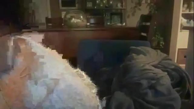 Thumbnail 2, sayplsgdgrl's Stream at Chaturbate, 2 months ago