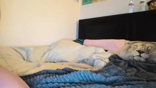 Image 3 of scarlet_eyes Stream on Chaturbate on 15 months ago