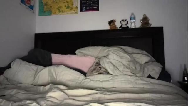 Image 11 of scarlet_eyes Stream on Chaturbate on 14 months ago
