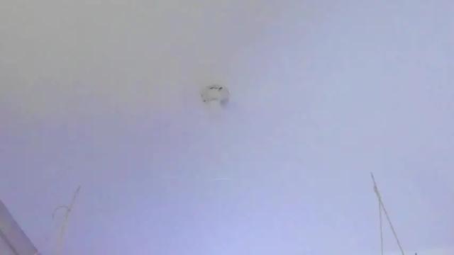 Thumbnail 1, scarleth_owens1's Stream at Chaturbate, 13 months ago