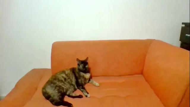 Image 4 of scarlettserna Stream on Chaturbate on 5 months ago