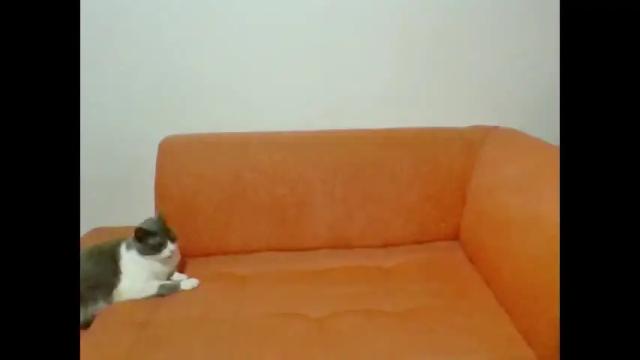 Image 3 of scarlettserna Stream on Chaturbate on 4 months ago