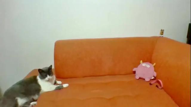 Image 11 of scarlettserna Stream on Chaturbate on 4 months ago