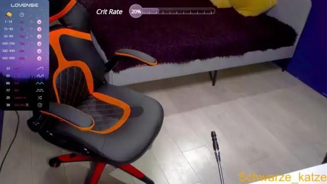 Image 11 of schwarze_katze Stream on Chaturbate on 20 months ago