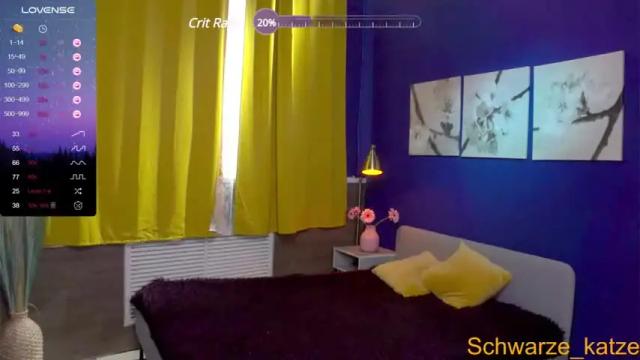 Image 8 of schwarze_katze Stream on Chaturbate on 20 months ago