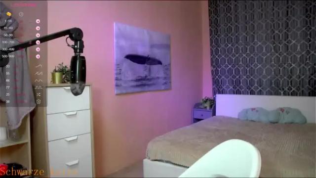 Image 3 of schwarze_katze Stream on Chaturbate on 19 months ago