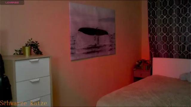 Image 8 of schwarze_katze Stream on Chaturbate on 19 months ago