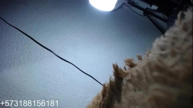 Image 3 of sebastian_posse Stream on Chaturbate on 2 months ago