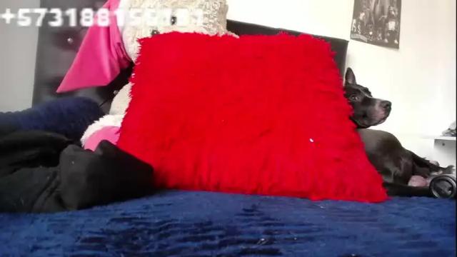 Image 11 of sebastian_posse Stream on Chaturbate on 1 month ago