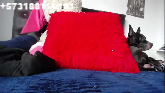 Image 12 of sebastian_posse Stream on Chaturbate on 1 month ago