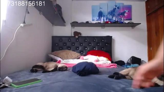 Image 7 of sebastian_posse Stream on Chaturbate on 1 month ago