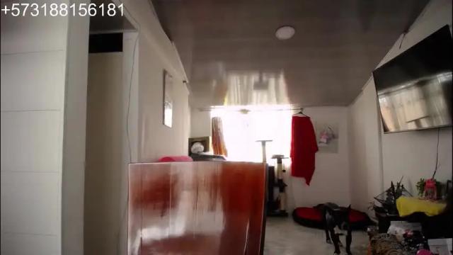 Image 2 of sebastian_posse Stream on Chaturbate on 1 month ago