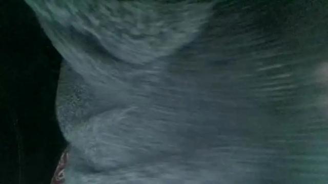Image 2 of secret18slaveanon Stream on Chaturbate on 15 months ago