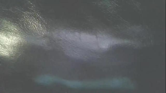Image 12 of secret18slaveanon Stream on Chaturbate on 27 days ago