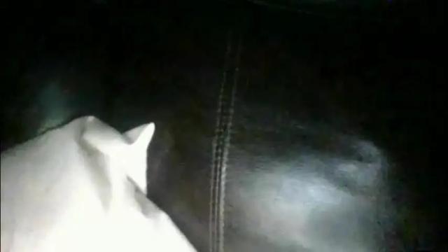 Thumbnail 1, secret18slaveanon's Stream at Chaturbate, 1 month ago