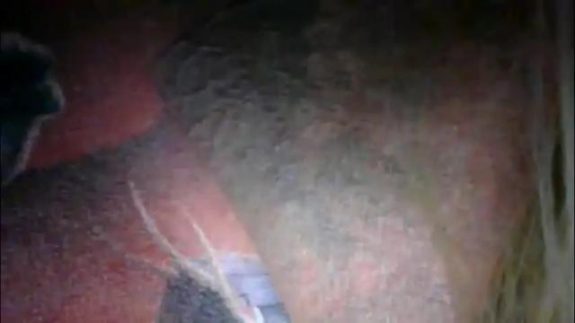 Image 6 of secret18slaveanon Stream on Chaturbate on 1 month ago