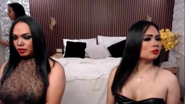 Image 6 of seducingsassy Stream on Chaturbate on 3 months ago