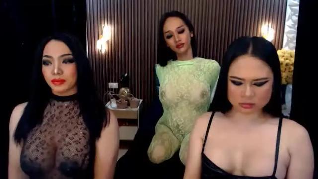 Image 7 of seducingsassy Stream on Chaturbate on 1 month ago