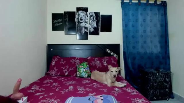 Image 12 of selenestewart Stream on Chaturbate on 14 months ago
