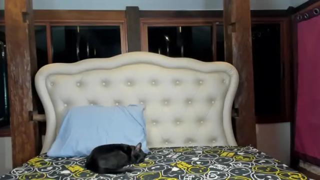 Thumbnail 2, senachannn's Stream at Chaturbate, 18 months ago