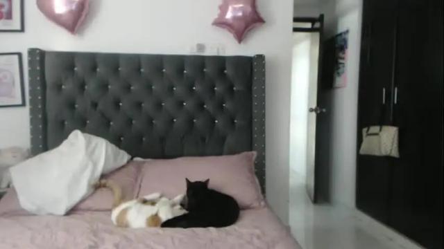 Image 3 of serenaroussee Stream on Chaturbate on 28 days ago