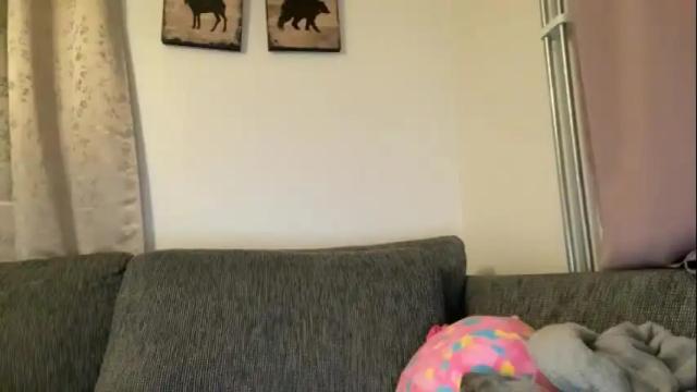 Thumbnail 3, sex6mmm's Stream at Chaturbate, 1 month ago