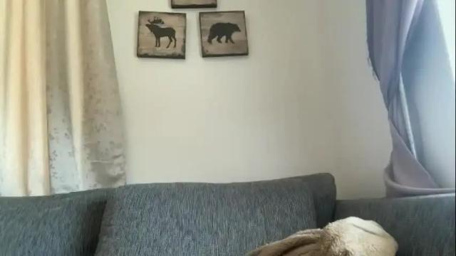 Thumbnail 1, sex6mmm's Stream at Chaturbate, 1 month ago