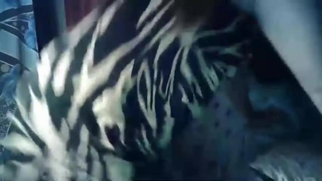 Thumbnail 2, sexy_zapphire2024's Stream at Chaturbate, 12 months ago