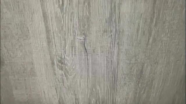 Image 8 of sexyayo666 Stream on Chaturbate on 1 month ago