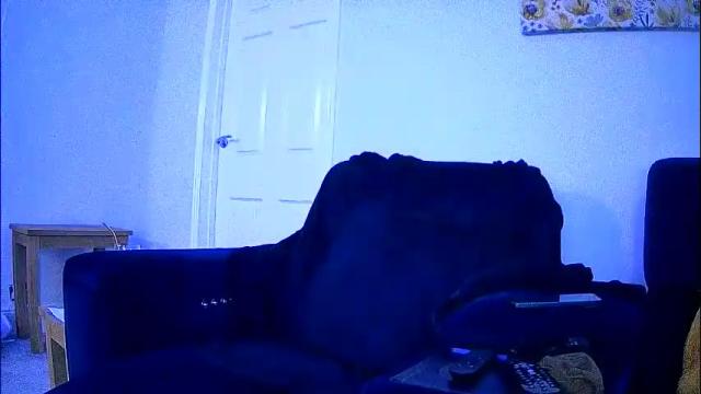 Image 11 of sexybeckyuk Stream on Chaturbate on 2 months ago