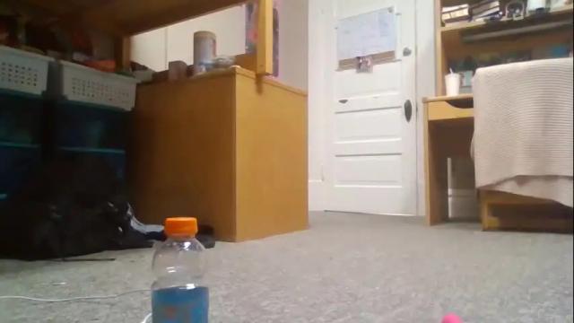Thumbnail 3, sexybullentin's Stream at Chaturbate, 20 months ago