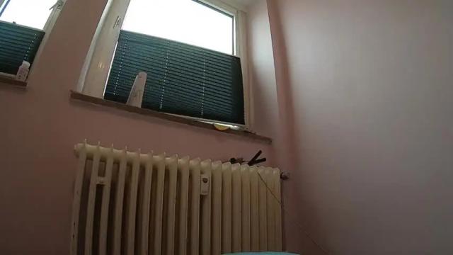 Thumbnail 3, sexydea's Stream at Chaturbate, 13 months ago