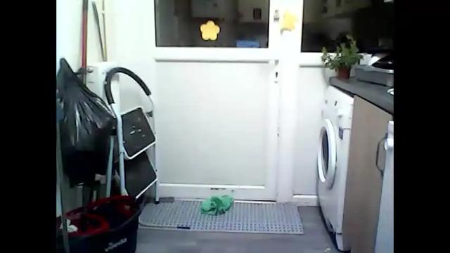 Image 12 of sexyemoprincess Stream on Chaturbate on 3 months ago