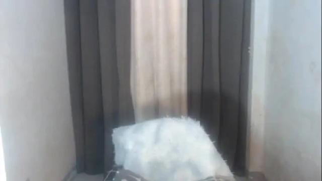 Image 2 of sexygoddess_tyra Stream on Chaturbate on 1 month ago