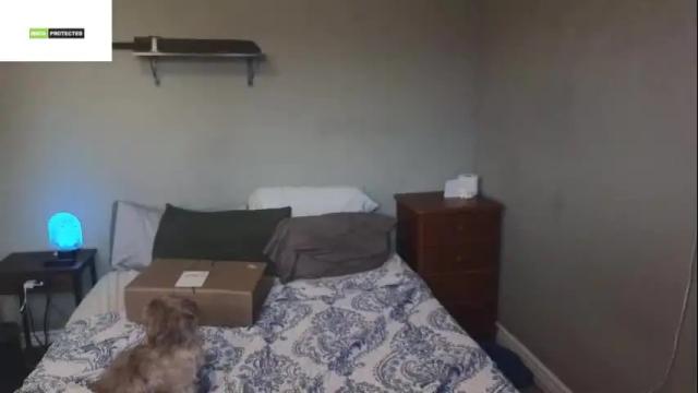 Image 11 of sexykittikat Stream on Chaturbate on 3 months ago